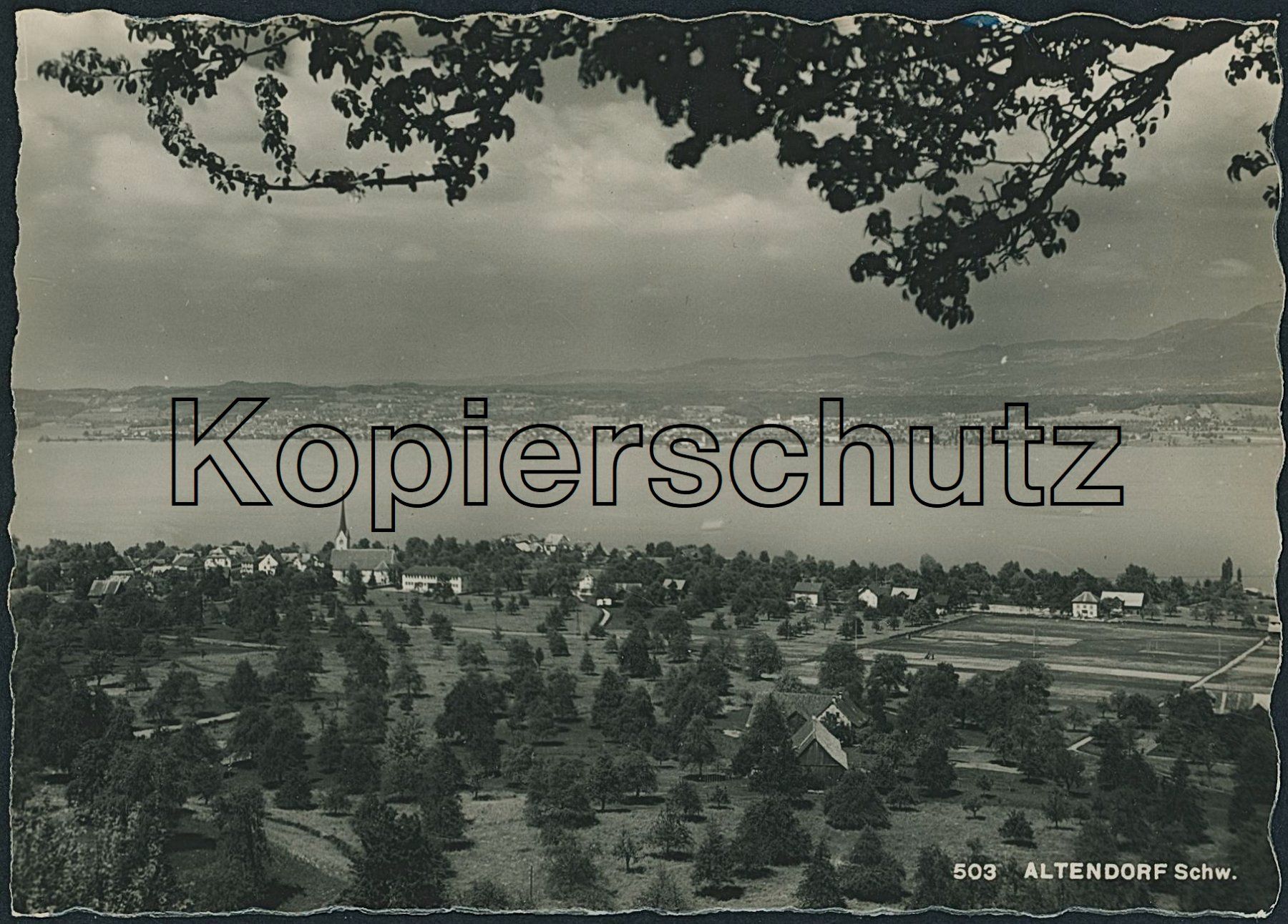 Cartoline postali: SZ Altendorf – Nuovo (secondo la descrizione) da Schindellegi venduto da dolpitz