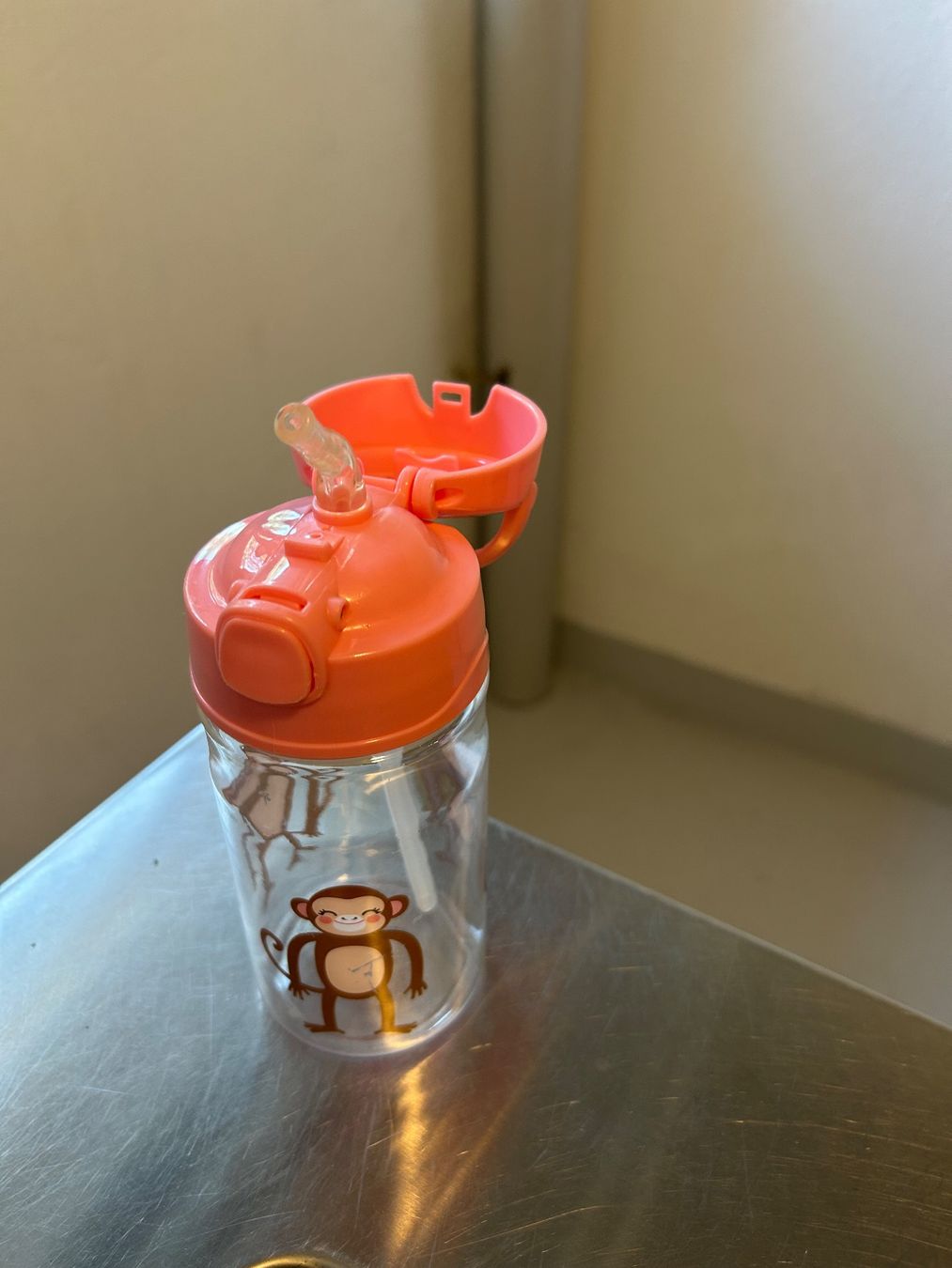 Trinkflaschen & Thermosflaschen: Trinkflasche mit Äffchen – Gebraucht aus Wabern von belka72 2