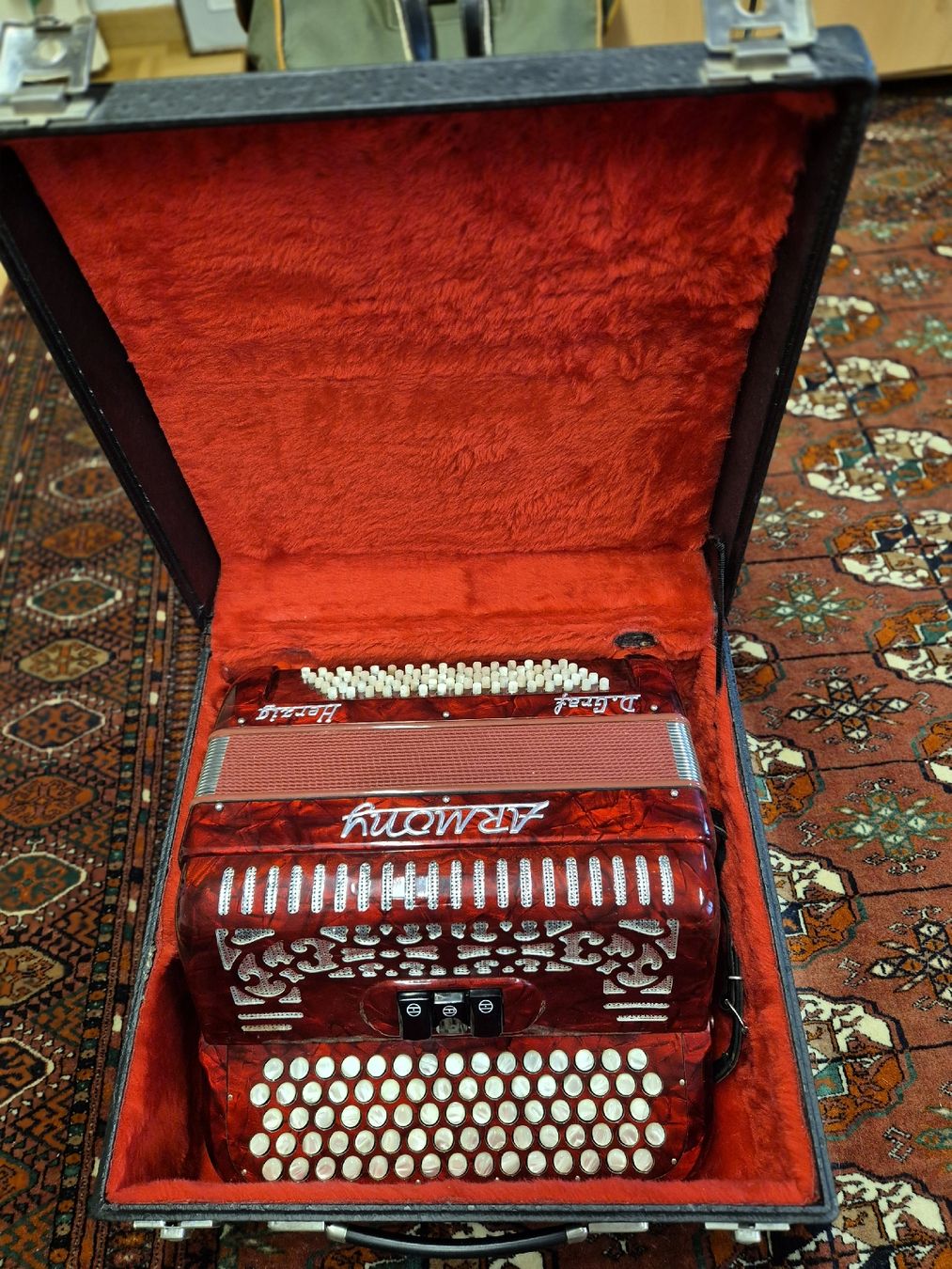 Strumenti musicali: Handorgel Herzig Armony – Usato da Zweisimmen venduto da Kleindietwil 6
