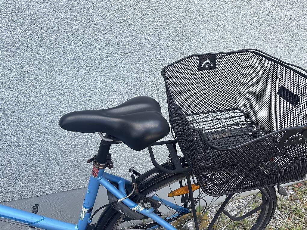 Biciclette: Velo Pegasus Piazza Damen – Usato da Rüti ZH venduto da heuhaufen 2