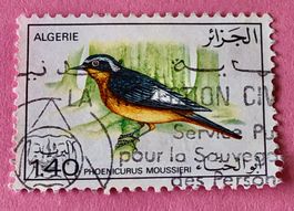 Briefmarken aus Algerien gestempelt Siehe Original Fotos. 