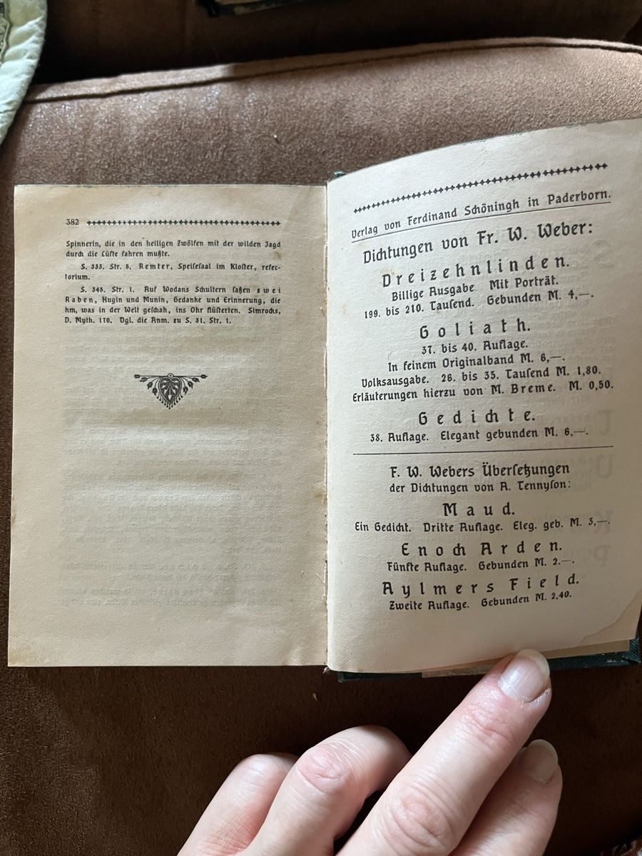 Libri: Libro antico "Dreizehnlinden" F. W. Weber,  – Usato da Novaggio venduto da Sabi-Pearl 4