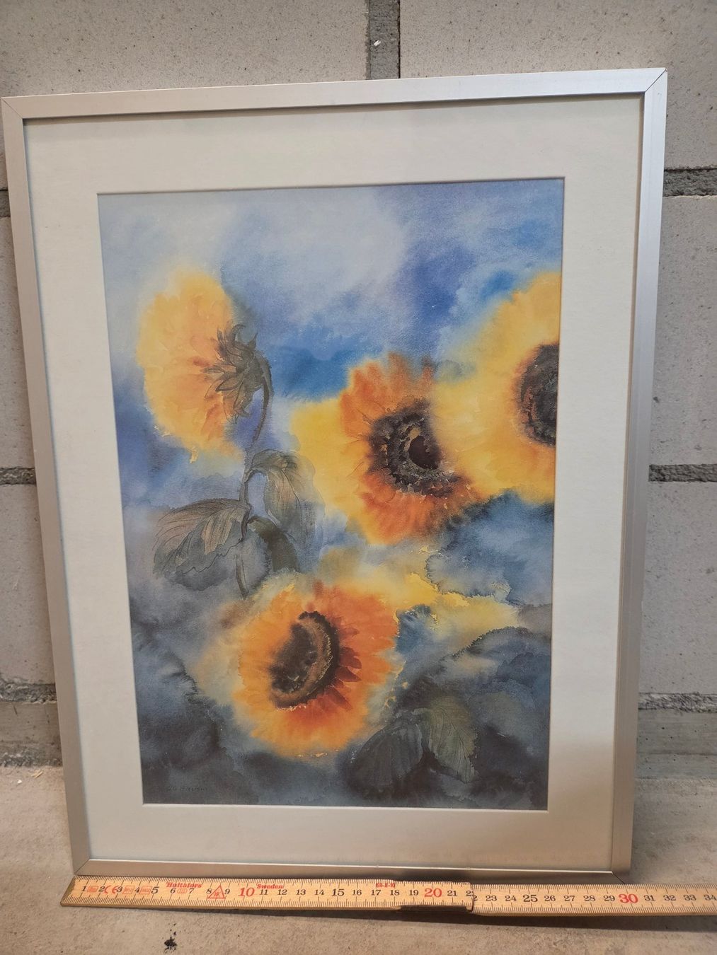 Foto & Immagini: Bild: Sonnenblumen – Usato da St. Gallen venduto da Razoon77 1