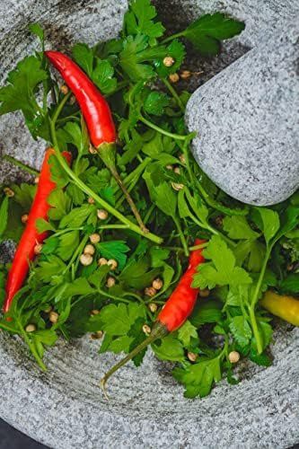 Sonstiges für das Kochen & Backen: Molcajete XXL Mörser Granit 20cm – Neu und originalverpackt aus Hundwil von Equiply 4