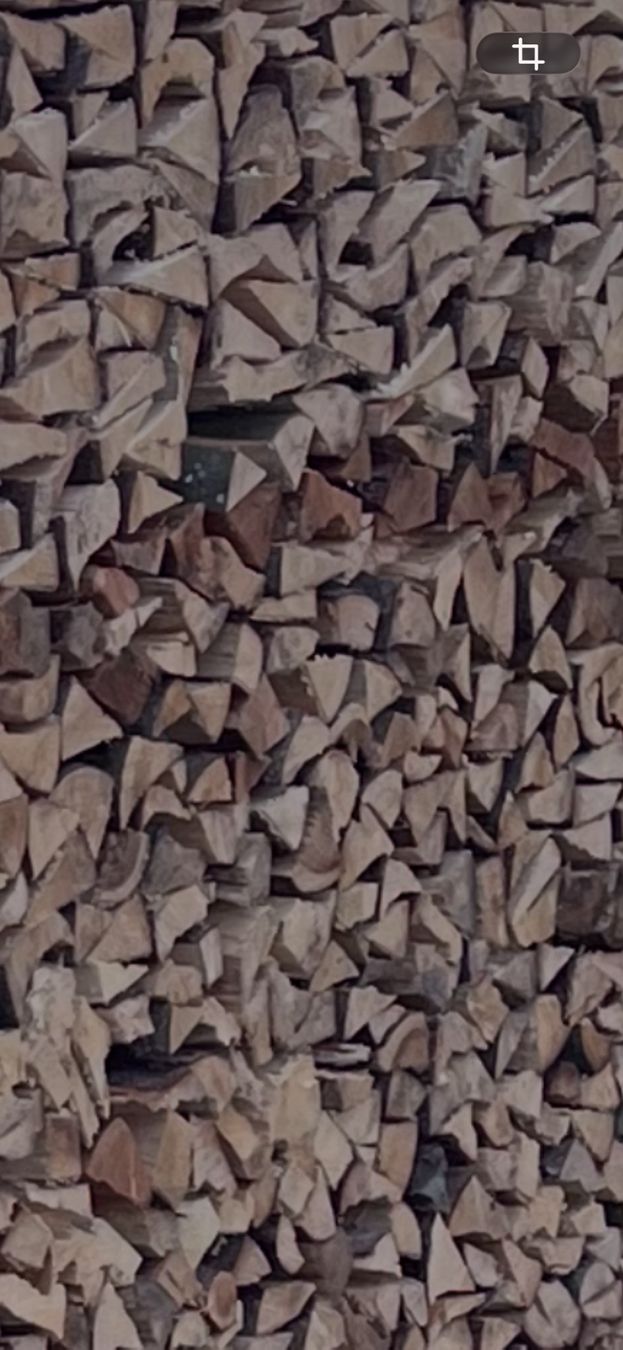 Holzartikel: Brennholz – Gebraucht aus Walzenhausen-Lachen von Danny110
