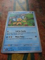 POKEMON  Panpour    G  PAR EN   041/182    HP70   2023