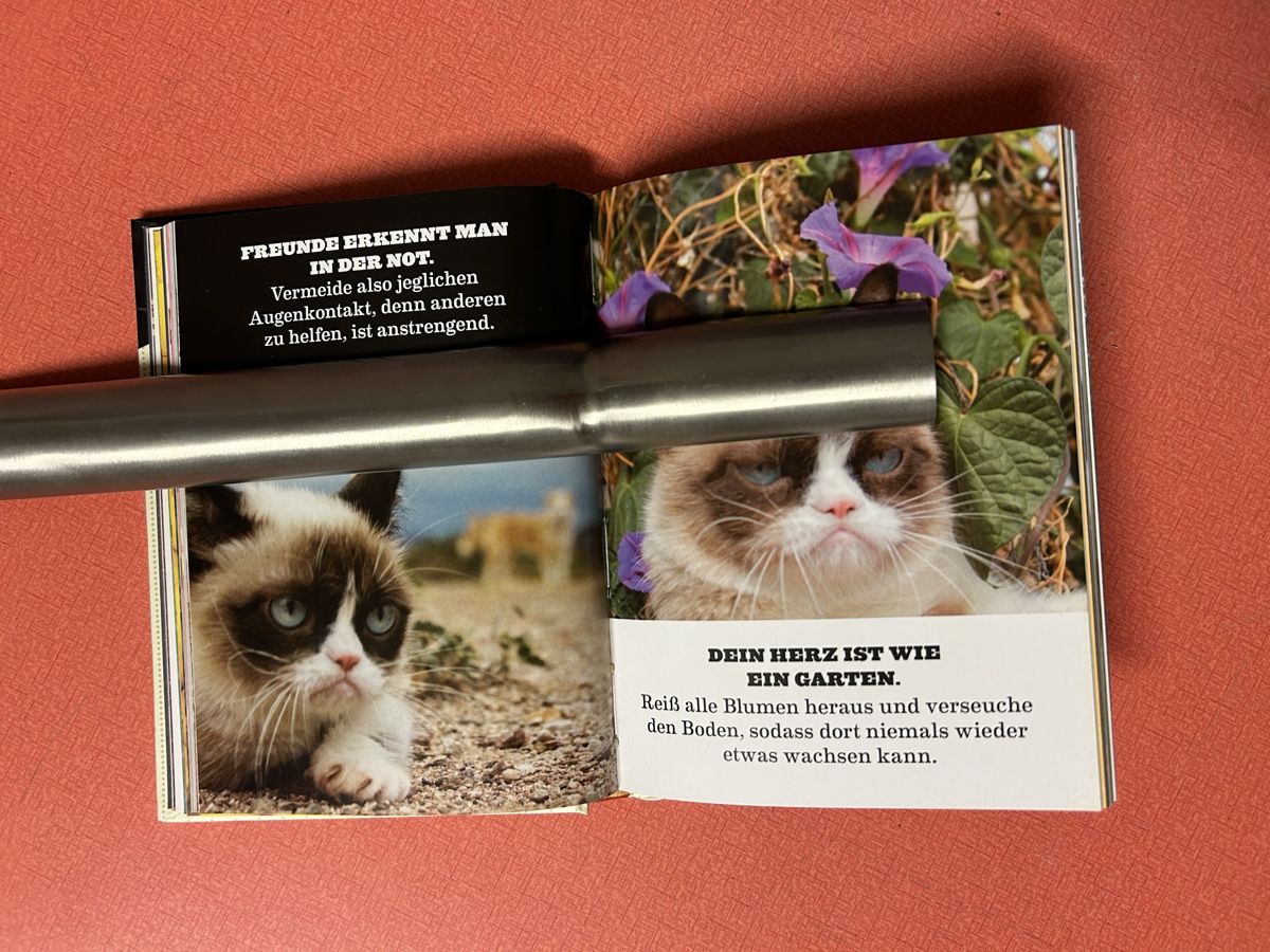 Libri: Grumpy Cats Grumpy Guide to Life Buch guter Zustand – Usato da Lanzenhäusern venduto da vic63 4