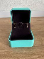 Solo hoop Earrings in 14K Gold