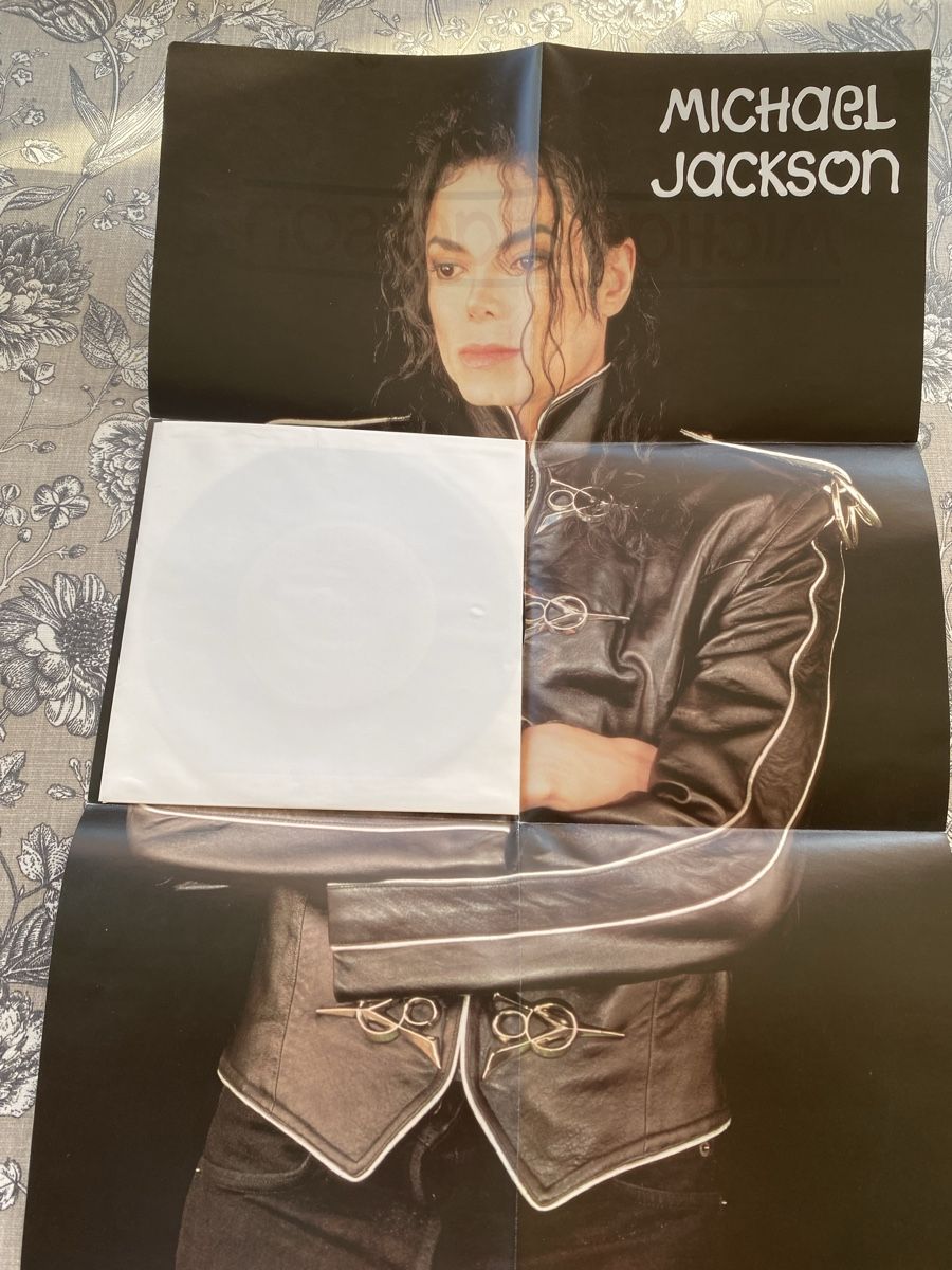 Dischi in vinile: Michael Jackson Heal the World 7" Vinyl Special Edition – Usato da Embrach venduto da bea_8424 3