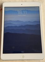 iPad mini 2