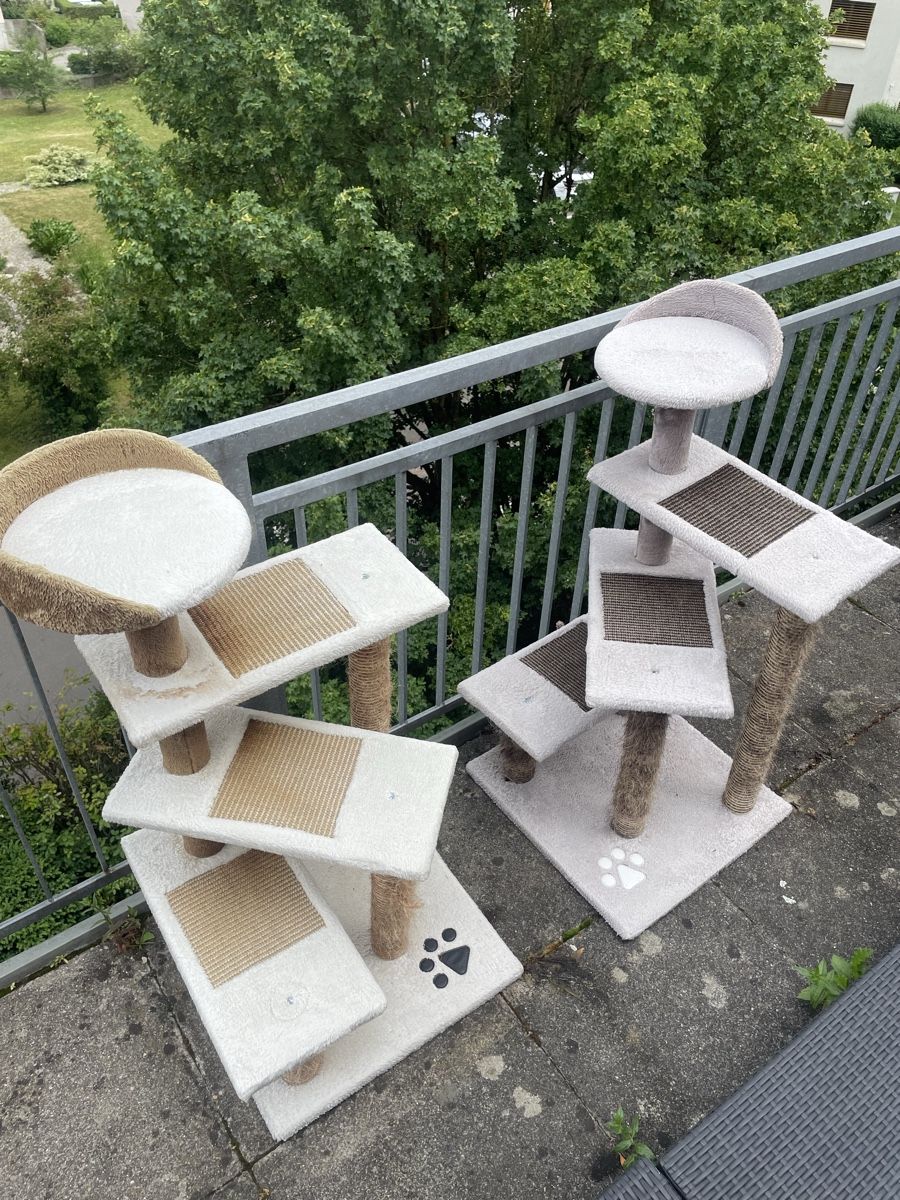 Katzenbaum - Kratzbaum: Katzenbaum – Gebraucht aus Bülach von dar_5xys