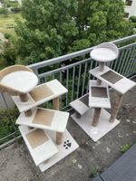 Katzenbaum