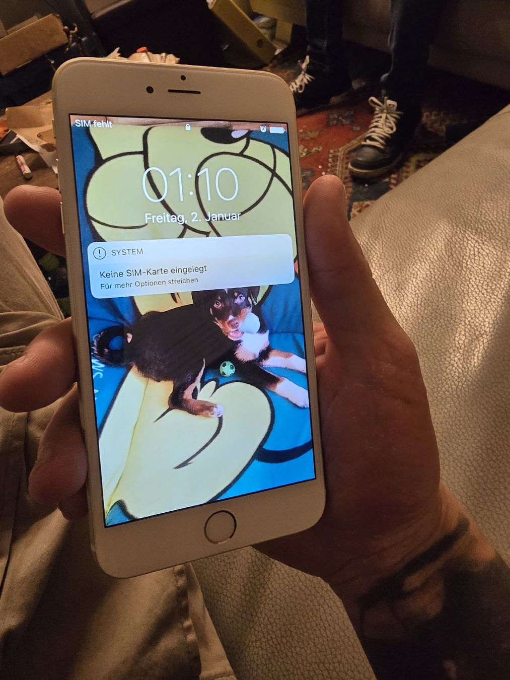 Apple Handys / Smartphones: Apple iPhone 6 Plus (Q) – Gebraucht aus Rorschach von TimelessTrading