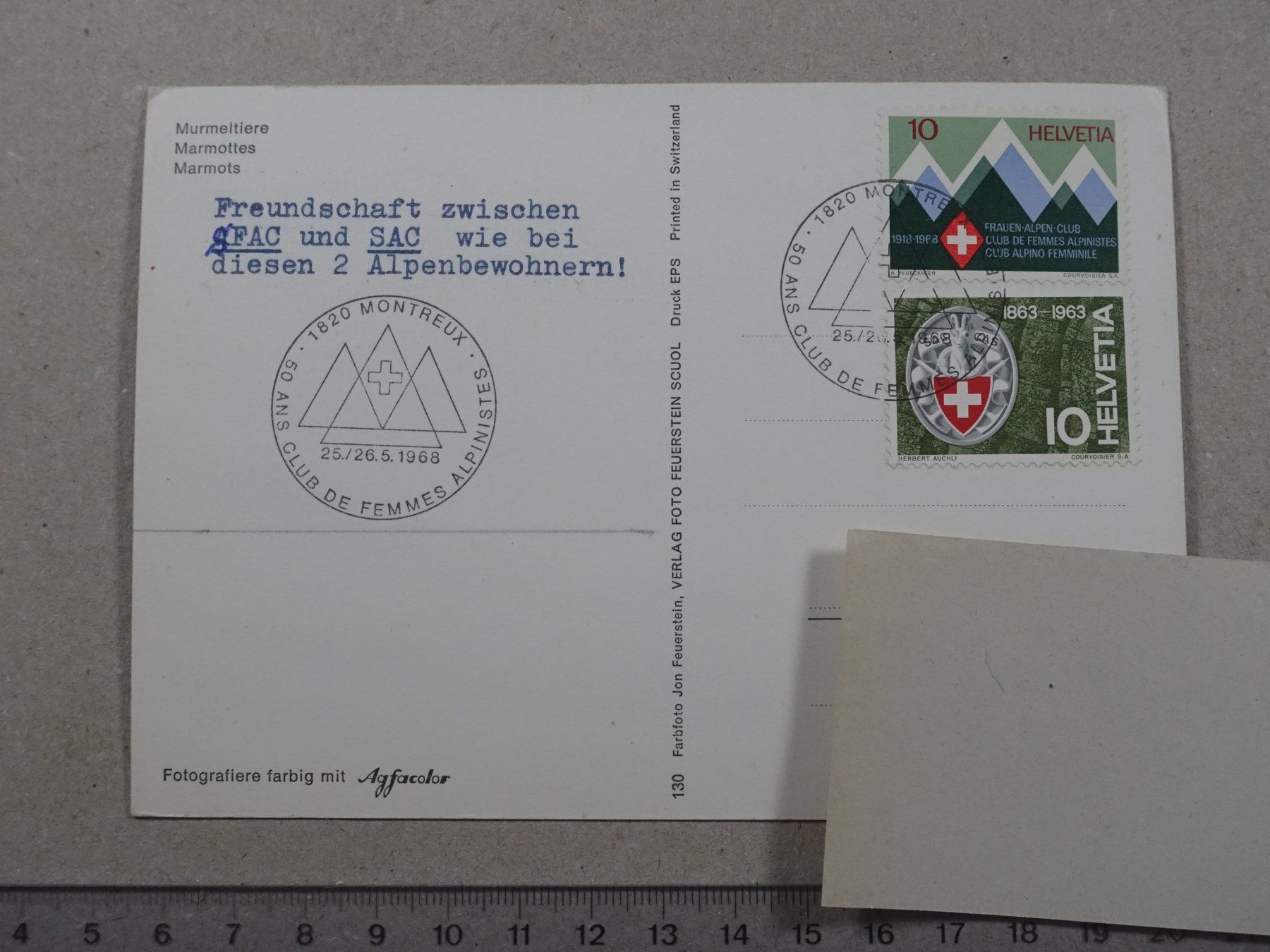Ansichtskarten: Murmeltiere – Gebraucht aus Lenzburg von fh1 1