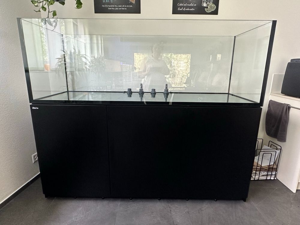 600 l Aquarium (Pool) 180 x 65 x 60 cm inkl. Unterschrank | Kaufen auf ...