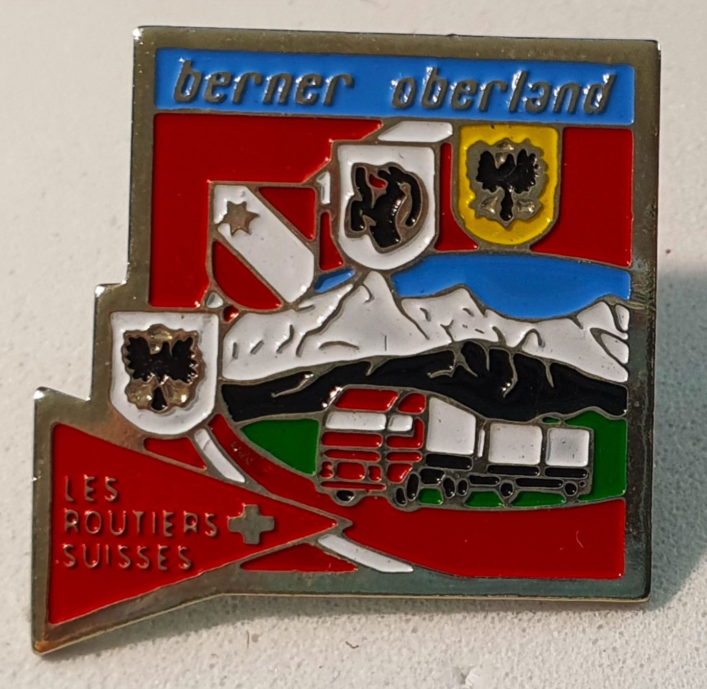 AA843 - Pin Les Routiers Suisse Sektion Berner Oberland (Gebraucht) in ...