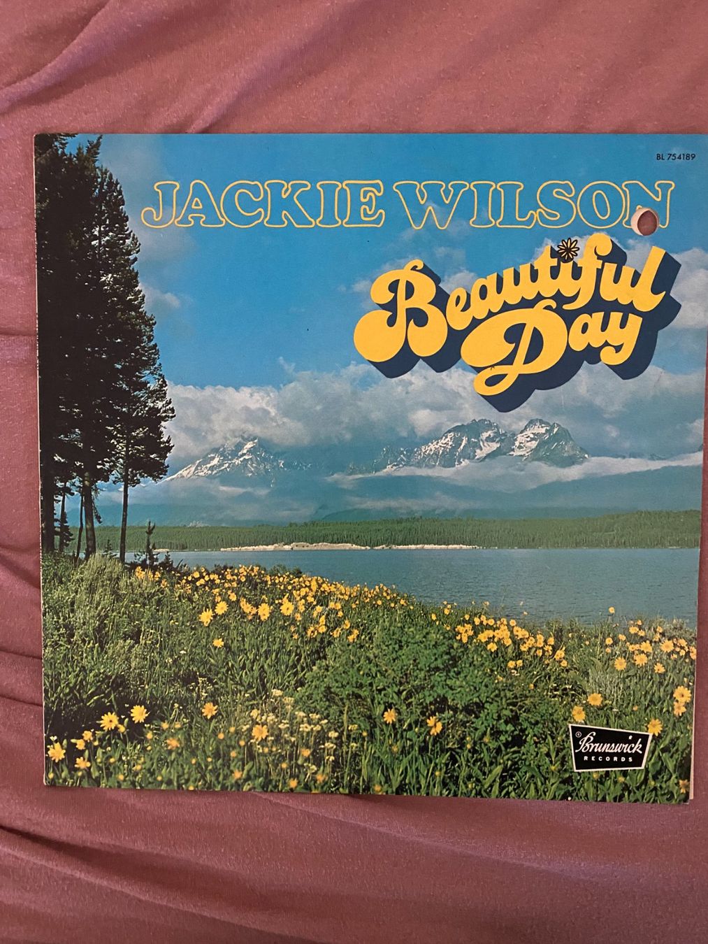 Dischi in vinile: LP – Usato da Dietlikon venduto da Nicokh