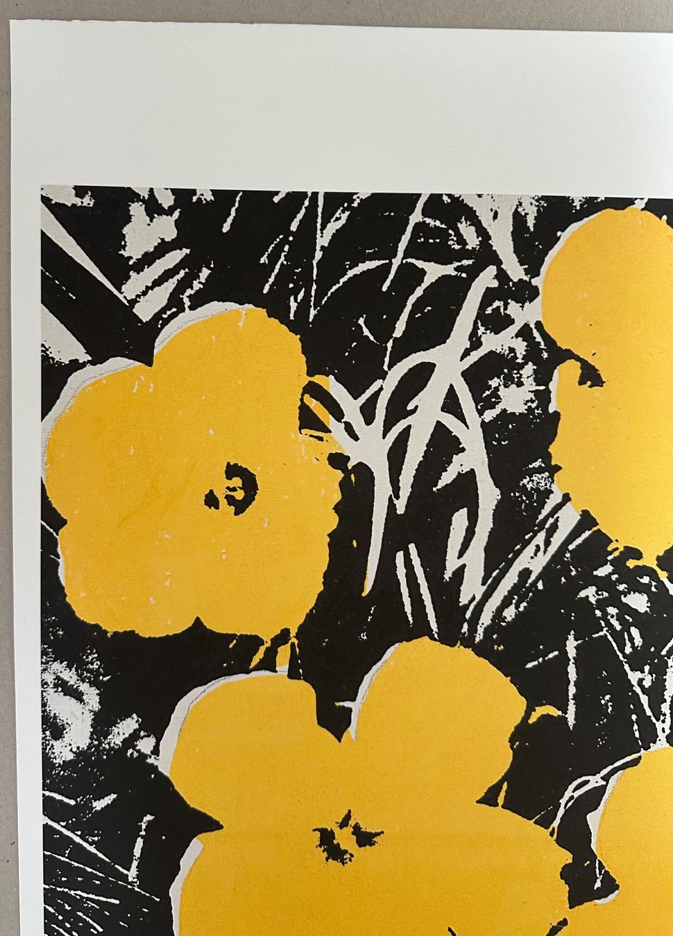 Foto & Immagini: Andy Warhol: Flowers 56/100 – Nuovo (secondo la descrizione) da Meilen venduto da Smgdesign 3