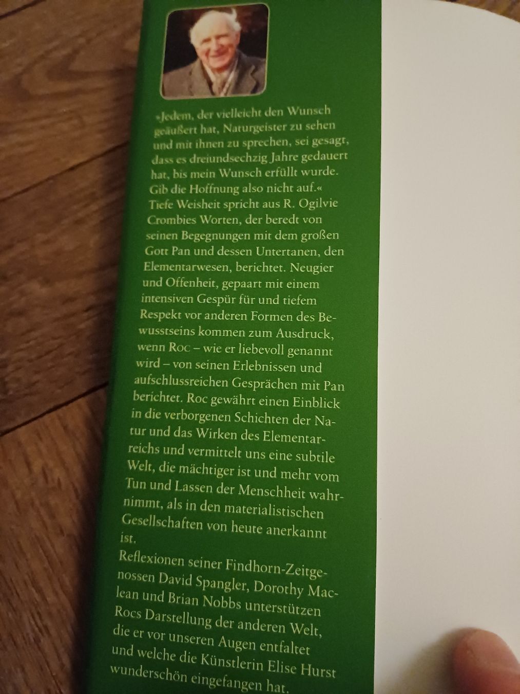 Libri: Buch: Der Mann, der mit den Elfen sprach, von R. Cromble – Nuovo (secondo la descrizione) da Bern venduto da rikivip 2