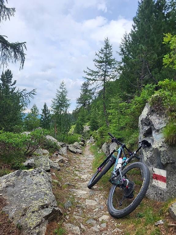 Scott Biciclette: Scott Spark RC Supersonic (édition spéciale) – Usato da Düdingen venduto da daf_bl7q 1