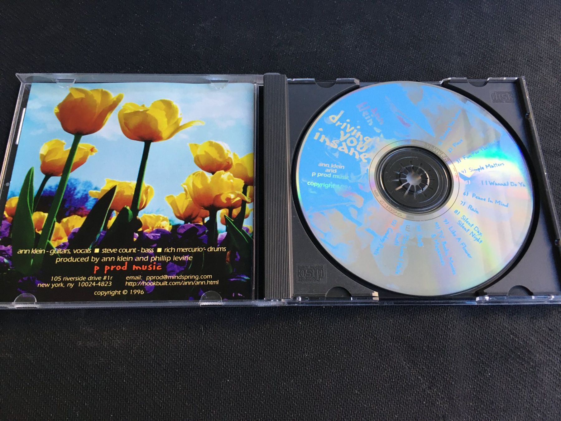 CDs: Ann Klein - Driving you Insane -CD- – Gebraucht aus St.Gallen von MedienJoe 1