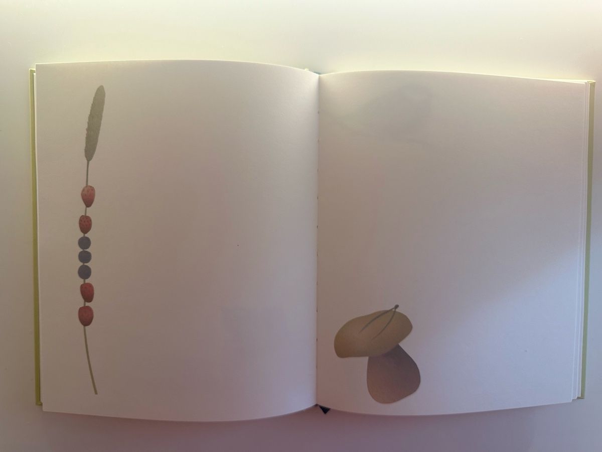 Libri: NEU! GÄSTEBUCH/Notizbuch – Nuovo (secondo la descrizione) da Flawil venduto da mar_9chb 3