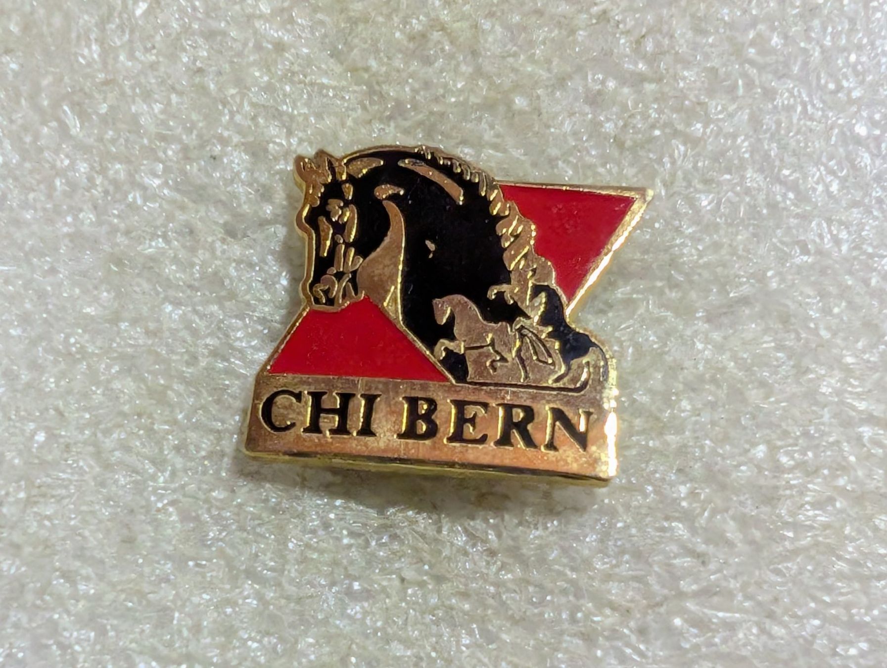 Placchette & Badge: Ansteckpin 213: CHI Bern – Usato da Oppligen venduto da Pin-Fall-Shop