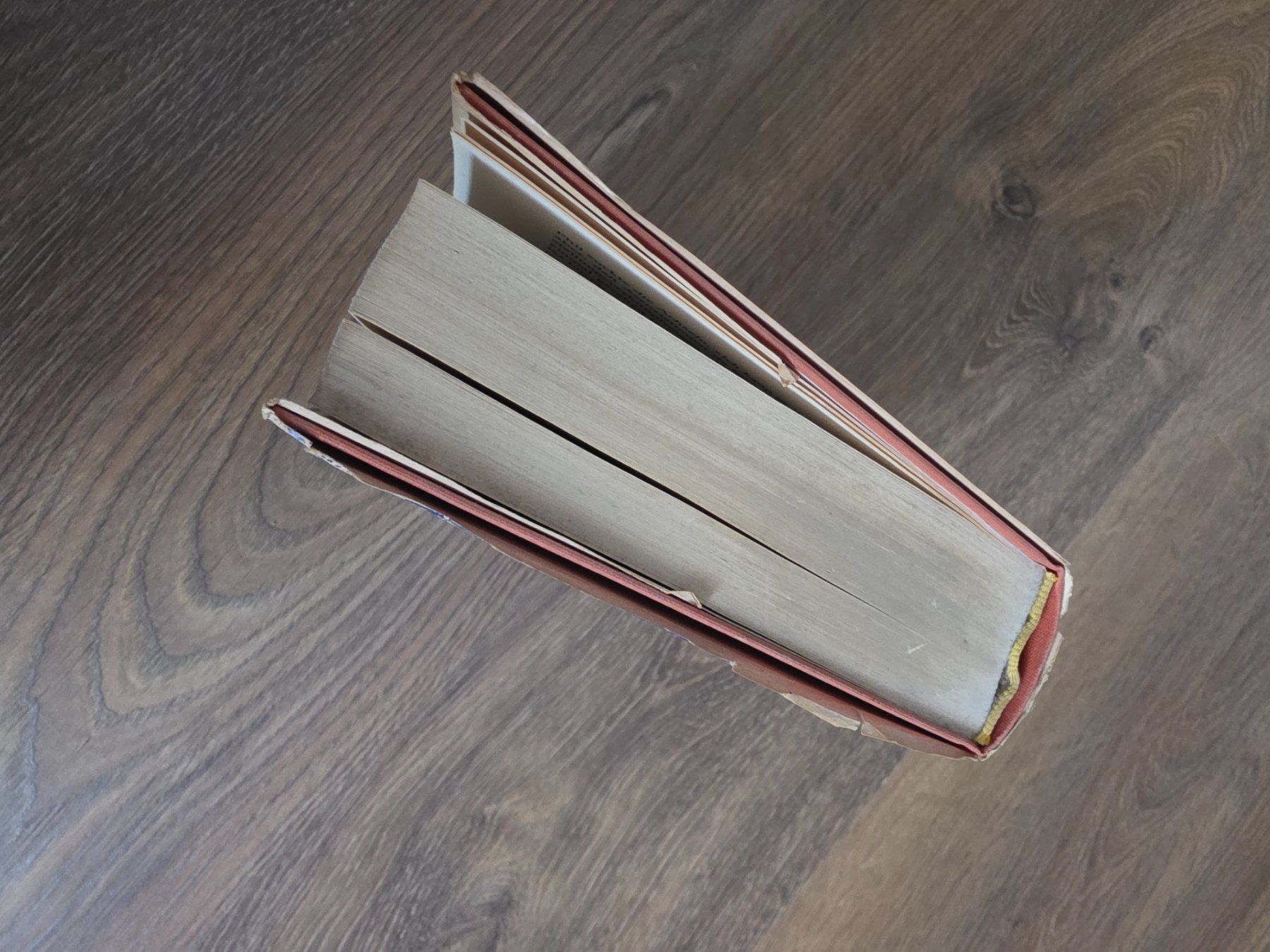 Bücher: Roman "Das Medaillon" von C.C. Bergius – Gebraucht aus Nebikon von Japostyle_2 3