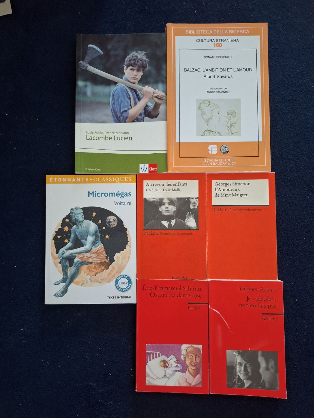 Bücher: 6 Bücher Französisch – Gebraucht aus Sursee von Schuepbi