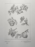 #3 - Gravure sur velin d'Arches signée G. Gallard 10/15 HC