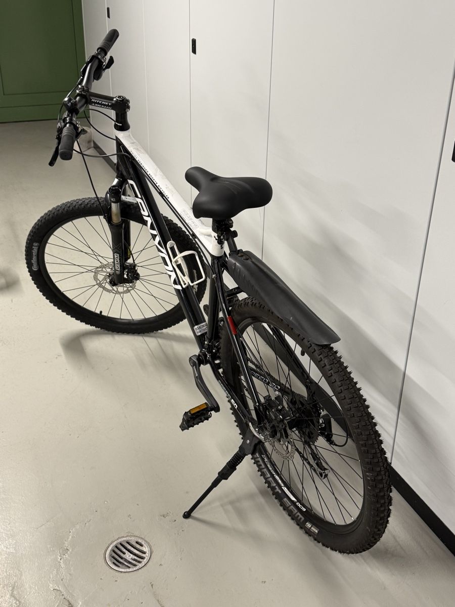 Canyon Vélos: Canyon Mountainbike – D'occasion à Rotkreuz par nc.oez 3