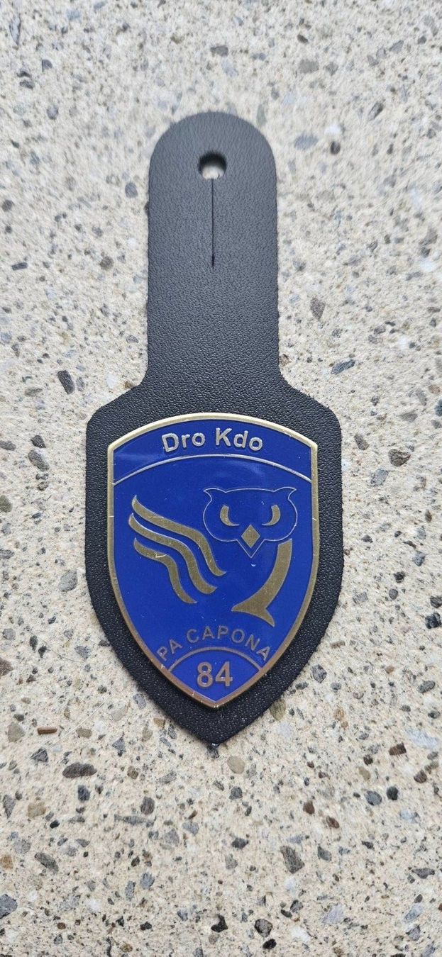 Schweizer Armee Placchette & Badge: *** Brustanhänger Luftwaffe Rare *** – Nuovo e nell'imballaggio originale da Riedholz venduto da fr_sIruP