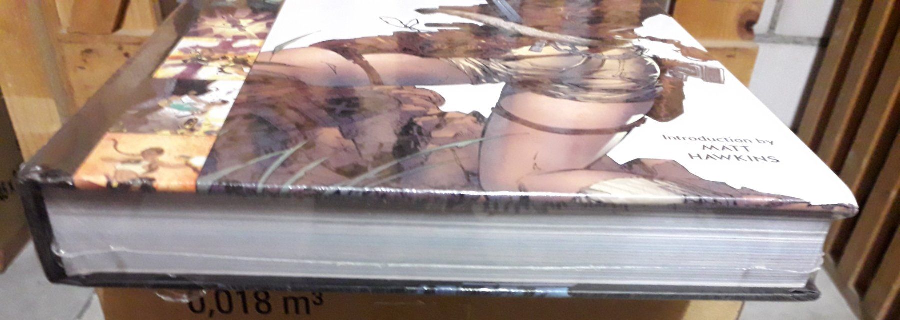 Fumetti: Tomb Raider Archives 3 – Nuovo e nell'imballaggio originale da Basel venduto da QUER13 3