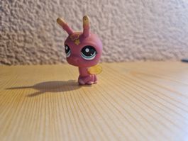 Littlest Pet Shop, Glühwürmchen