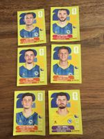 Panini Sammelkarten  Bosnien Herzegovina
