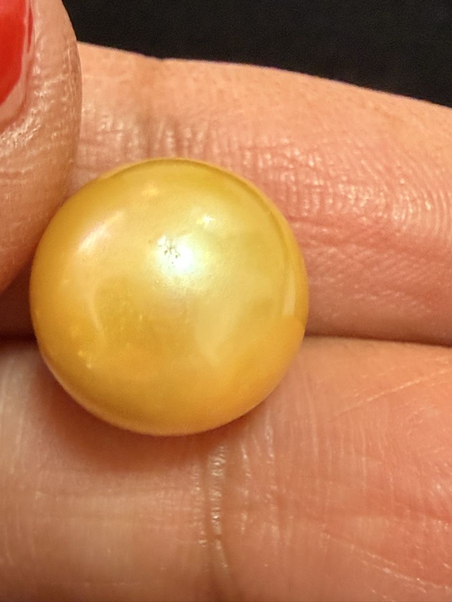 Perle (finte): Echt SüdSee Perlen Goldener Farbe – Nuovo (secondo la descrizione) da Oberhof venduto da RealStone 6