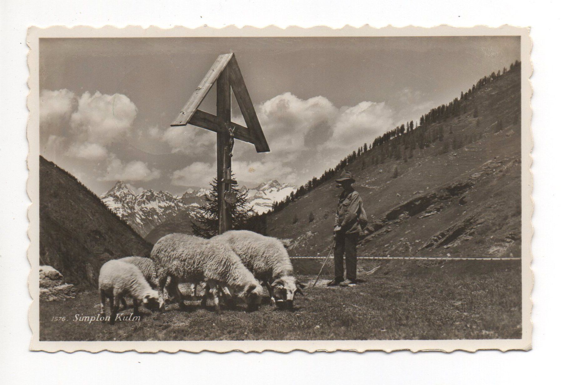 Cartes postales: SIMPLON KULM Hirte mit Schafen – D'occasion à Jona par philajona