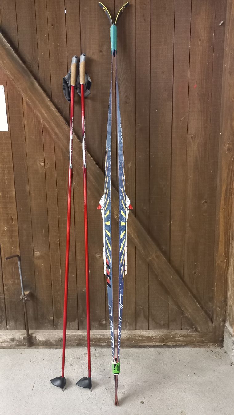 Fischer Skis: Langlauf-Set Fischer – D'occasion à Frutigen par samuele80