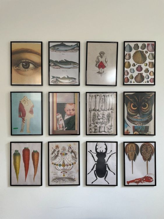 Bilder mit Rahmen 12 Stück 25x35cm (Gebraucht) in Zürich für CHF 20