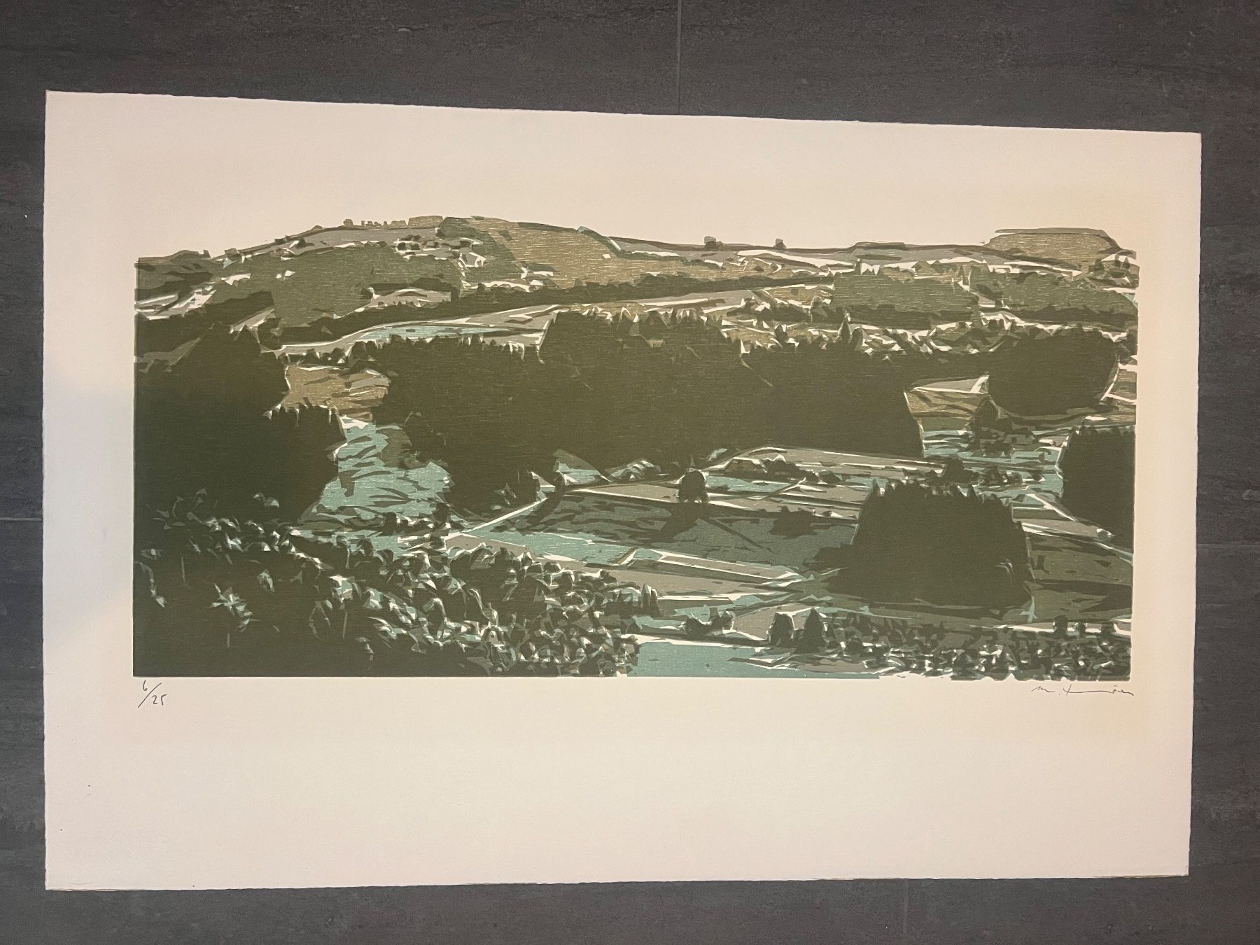 Grafica & Litografie: Martin Thönen, handsigniert, nummeriert – Usato da Rain venduto da Pic-Ass 1