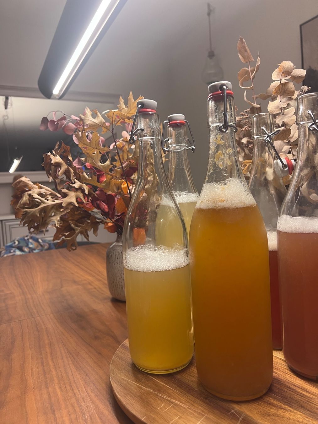 Cibi & Specialità: ✨ Bio - Kombucha - Scoby ✨ – Usato da Bern venduto da gen_j9gp 3