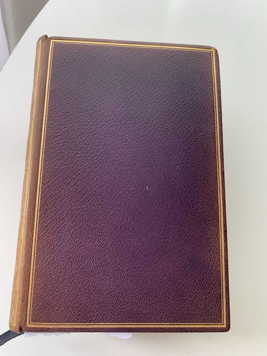 Libri: Poe  - Limitiert Nr. 22/50 – Usato da Onex venduto da bru_fp6t 1
