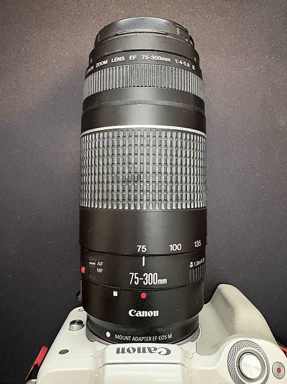 Canon Appareil photo: Deine nächste Kamera: Canon M50 + 2 Objektive – D'occasion à Schenkon par kod3ater 2