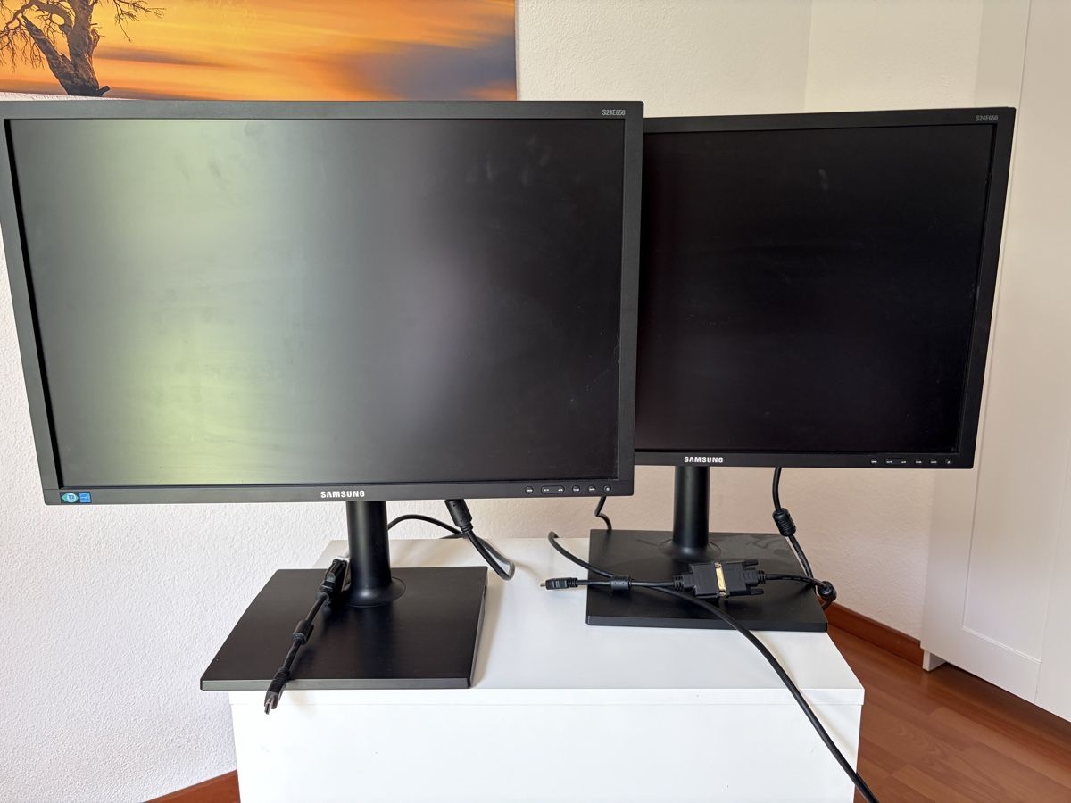 Monitor: 2x Samsung S24E650XW – Usato da Hausen AG venduto da Lochos01