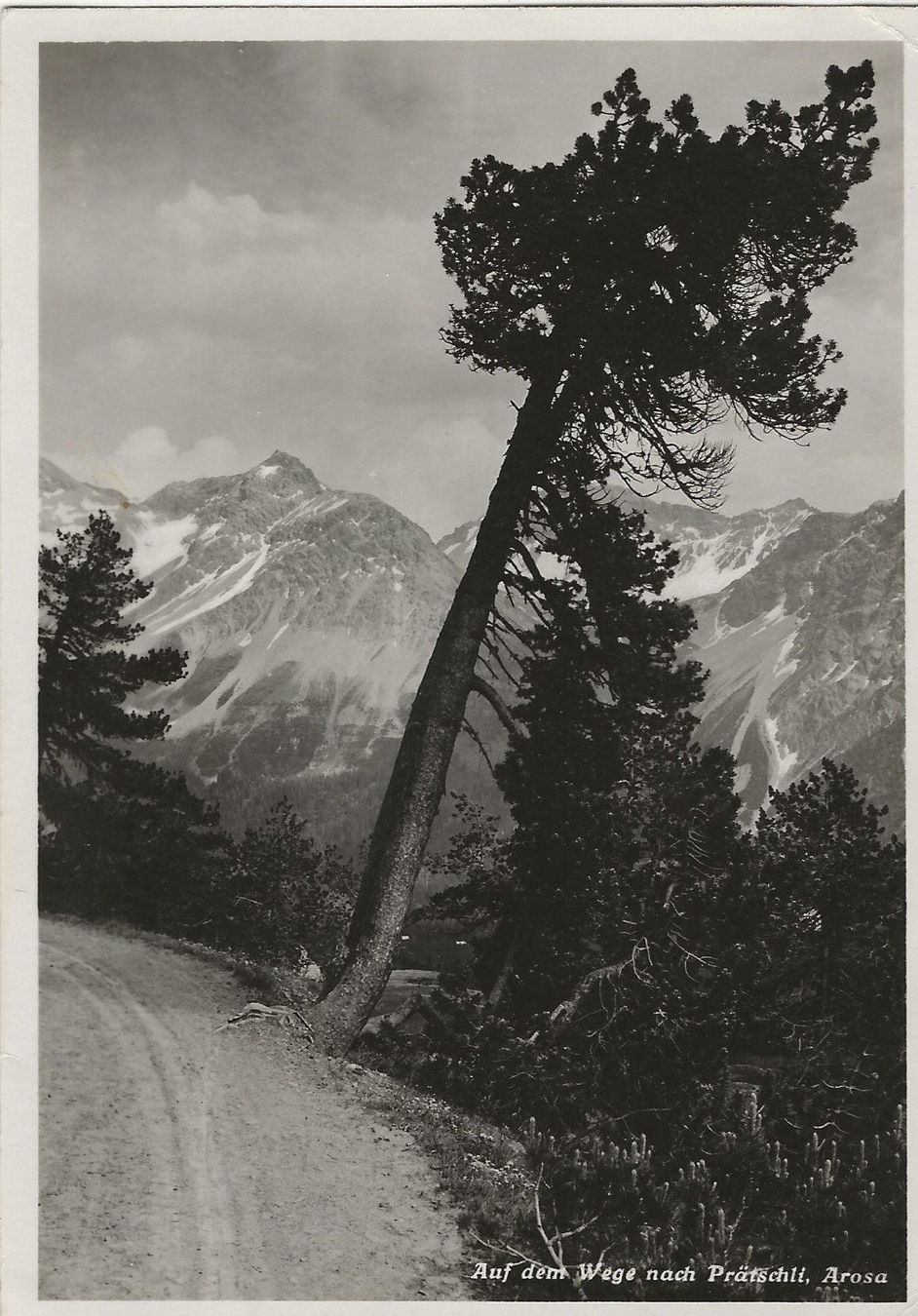 Cartoline postali: Prätschli,Arosa,Feuerstein,1935 – Usato da Frauenfeld venduto da Merk52