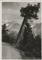 Prätschli,Arosa,Feuerstein,1935