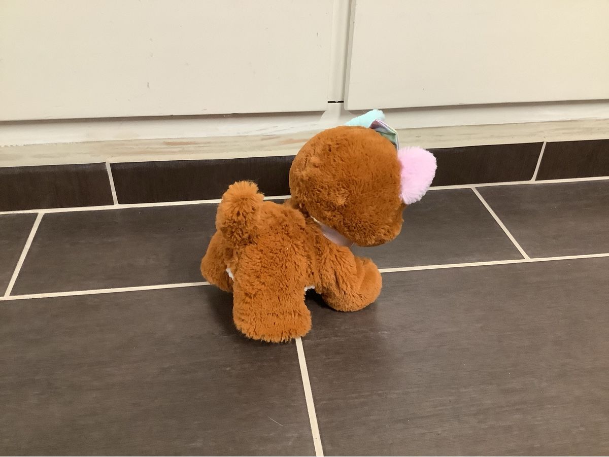 Giocattoli: Present Pets Hund mit Funktionen – Usato da Brugg AG venduto da Sweety_pie 2