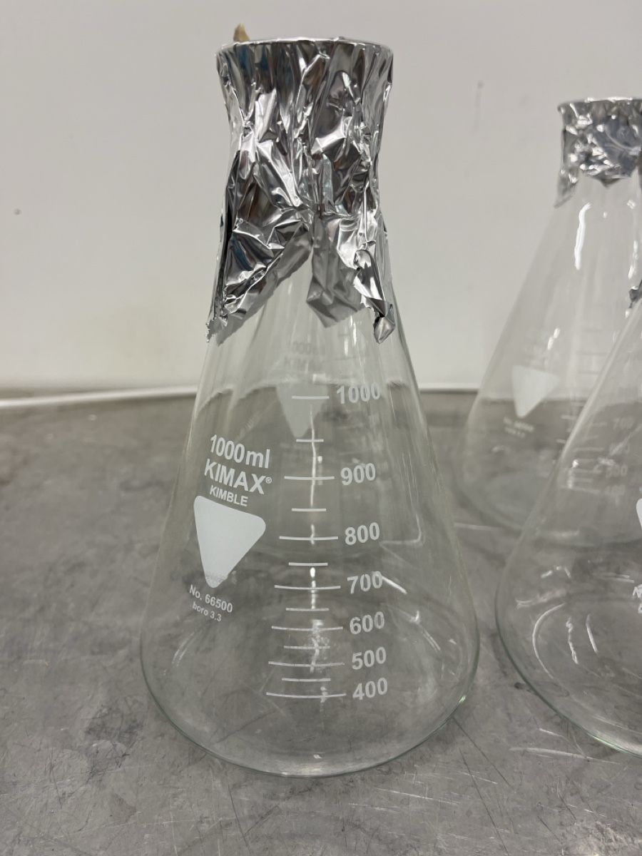 Bicchieri: 6 x KIMAX Erlenmeyerkolben 1000ml – Nuovo (secondo la descrizione) da Spreitenbach venduto da bra_rh7n 1