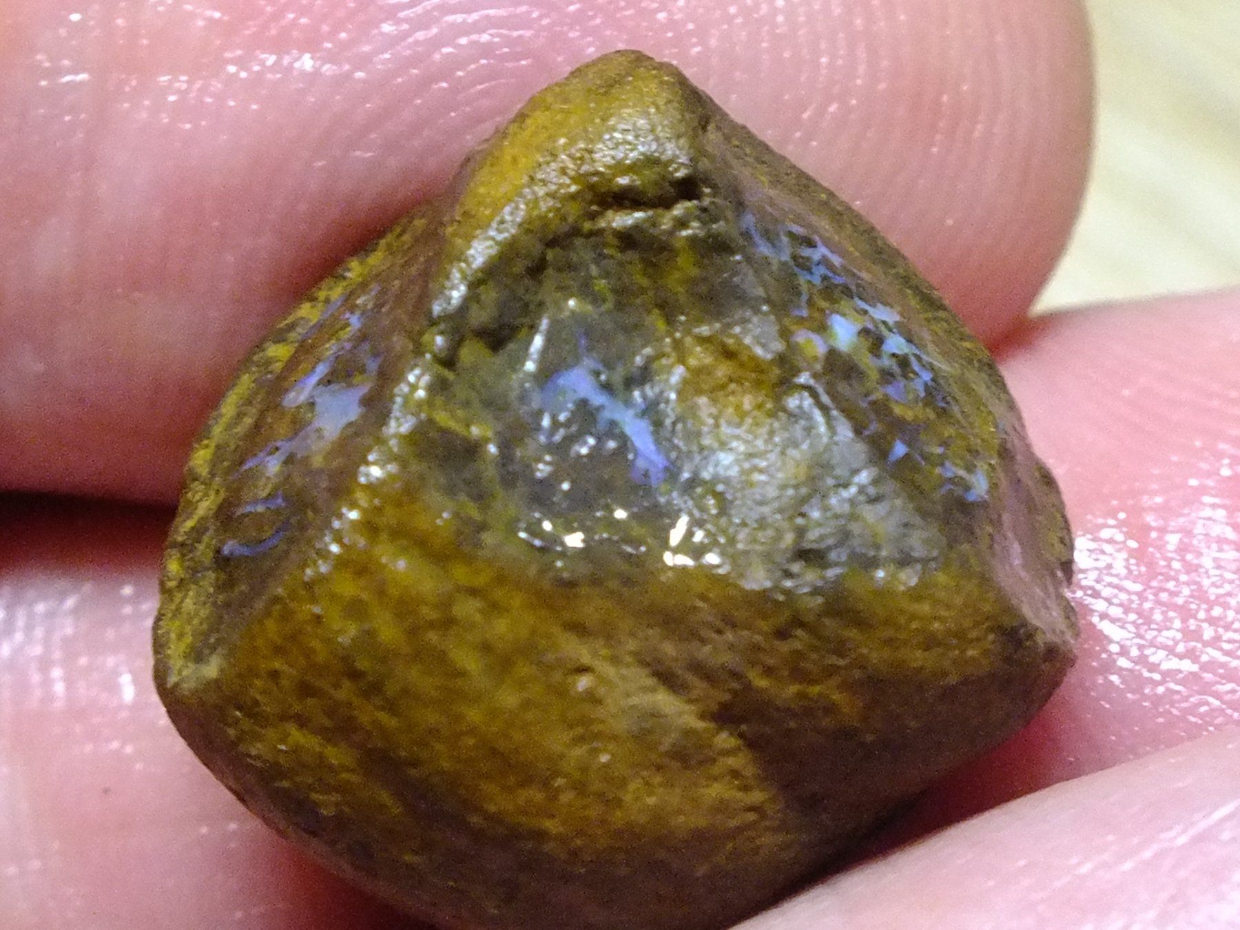 Pietre preziose: BOULDER ROH OPAL 38.76 Kt Gebot 1.- – Nuovo e nell'imballaggio originale da Chêne - bougeries venduto da swissrockshop 3