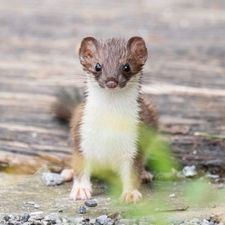 Profile image of mithro